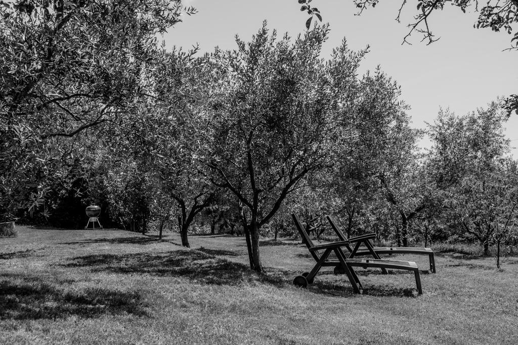 Terra Del Carso San Pelagio Exterior foto